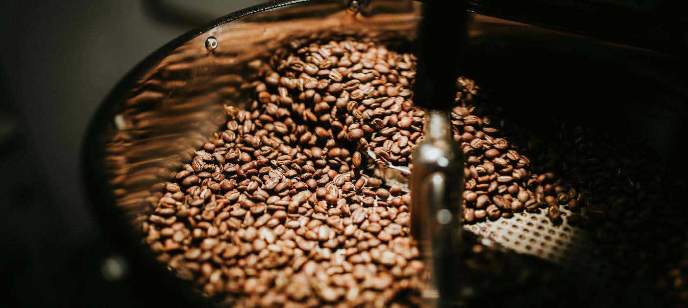 Pengolahan Kopi Gayo